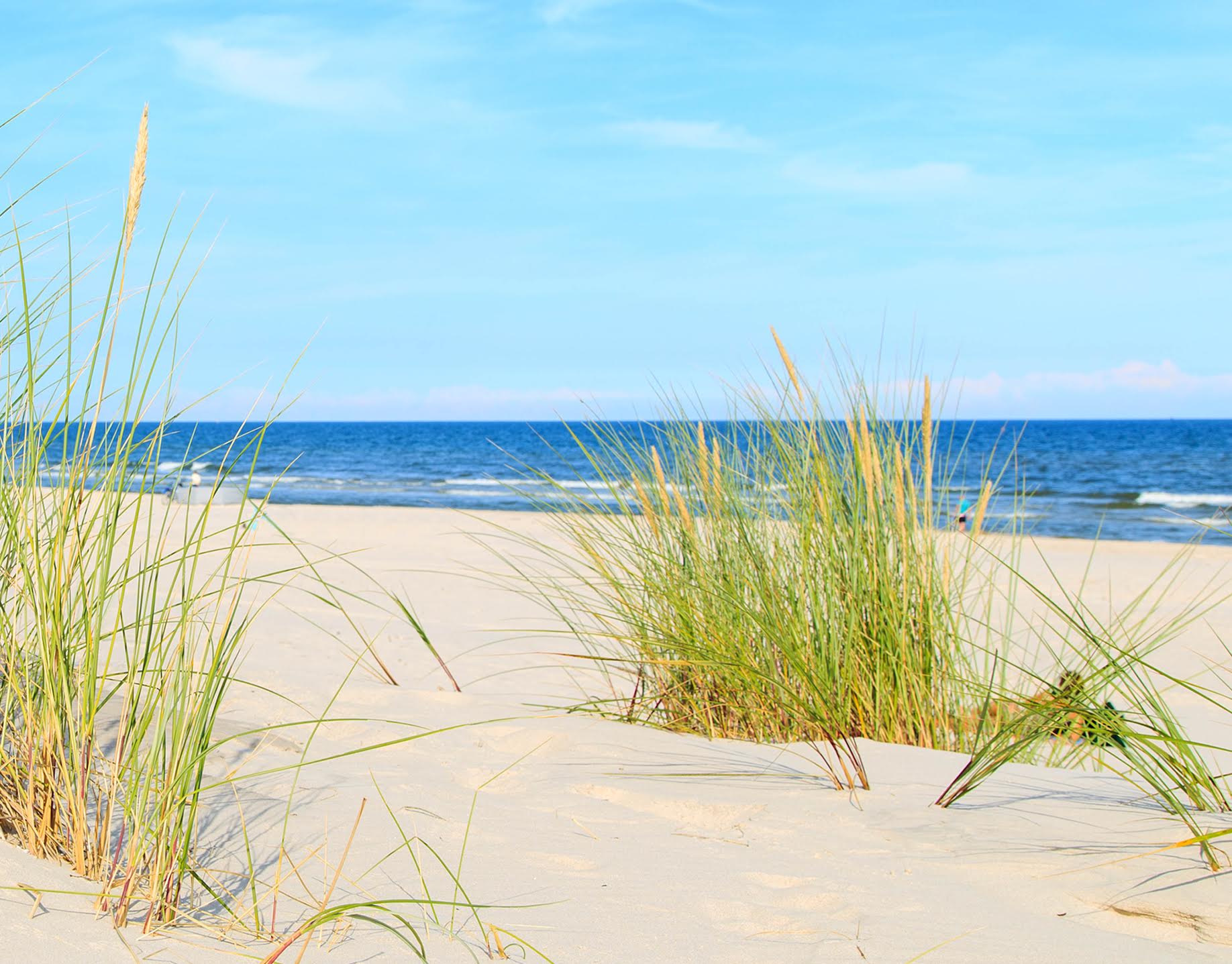 Summer Sands