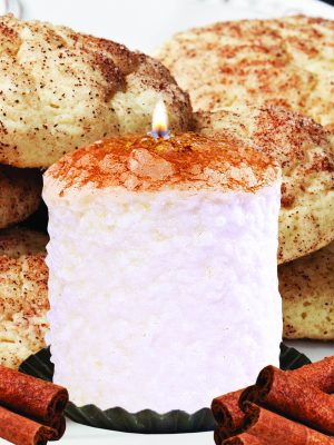 Snickerdoodle Hearth Candle