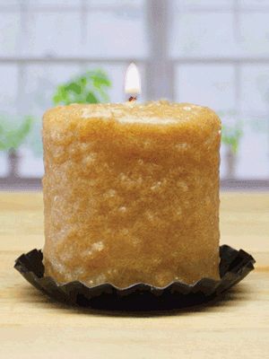 Salted Caramel Rum Mini Hearth