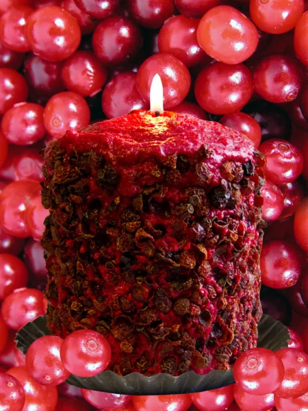 Homespun Harvest Hearth Candle on Background of Cranberries