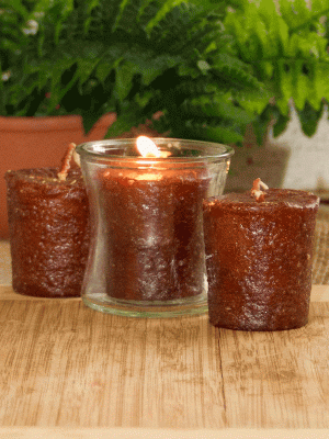 Coffee House 3 Pack Votive Candles