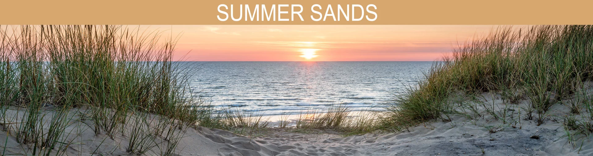 Banner image of summer sands, picture of a beach, sunset, ocean