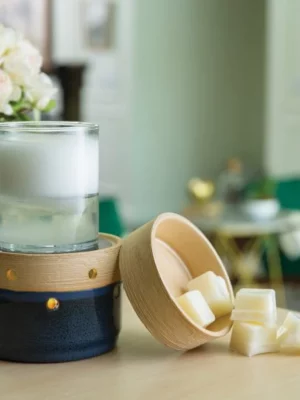 2-in-1 Fragrance Warmer - Land and Sea