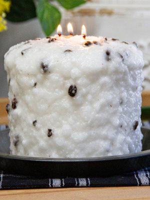 Creamy Vanilla Bean Mini 3 Wick Candle