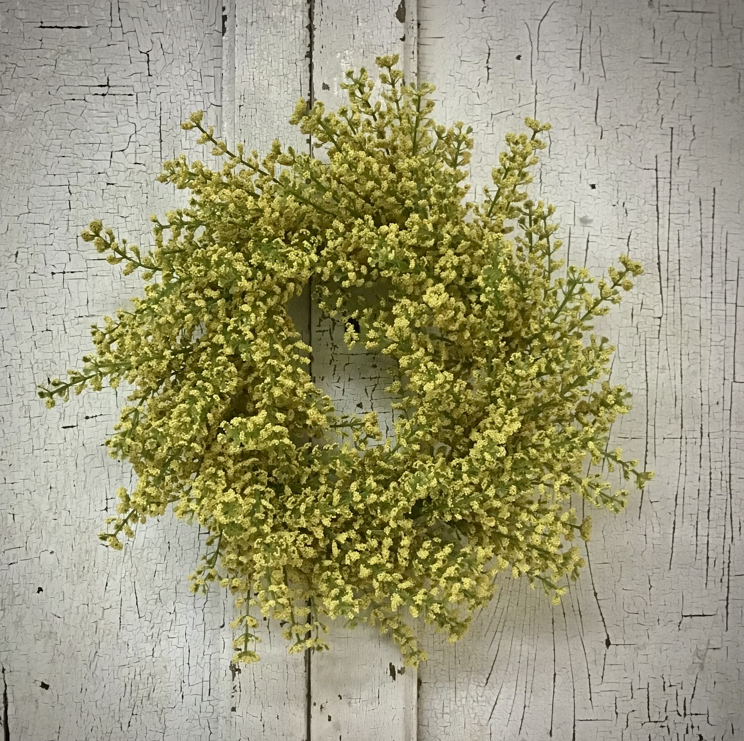 Bursting Astilbe Candle Ring Sunshine 6.5"