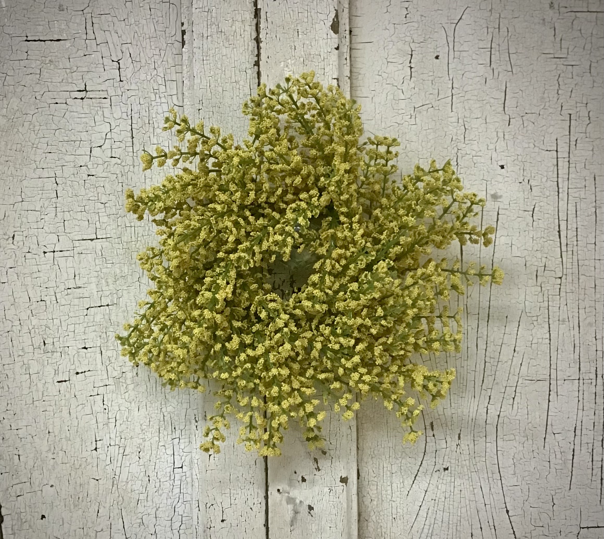 Bursting Astilbe Candle Ring Sunshine 3.5"